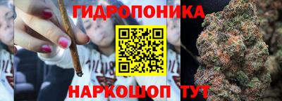 молекула духа Коммунар