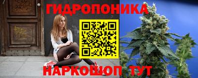 сатива Комсомольск-на-Амуре