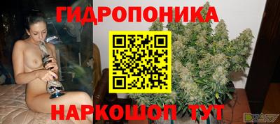 ALPHA PVP Аргун