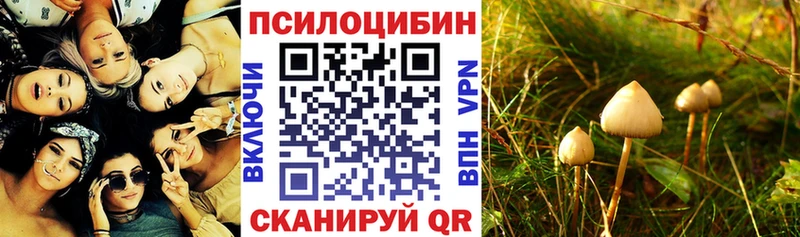 Псилоцибиновые грибы MAGIC MUSHROOMS  Североуральск 