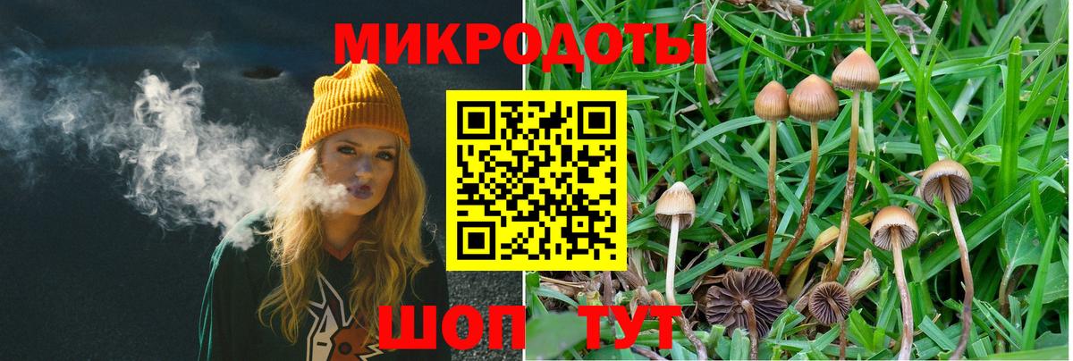 Галлюциногенные грибы мицелий Североуральск